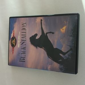 Black Stallion DVD